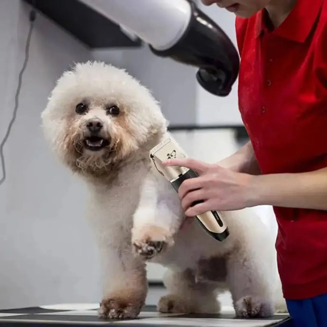 MÁQUINA CORTADORA DE PELO PARA MASCOTAS!